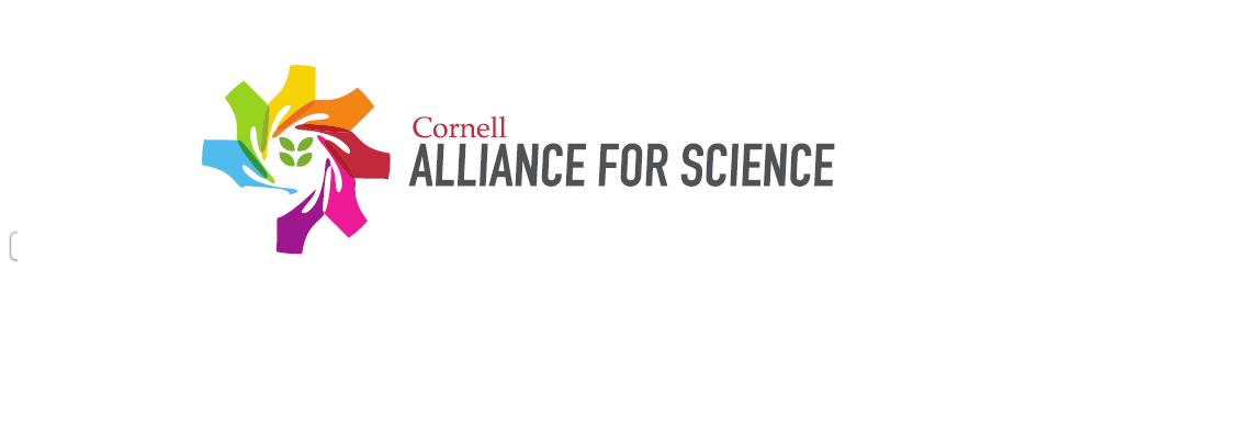 Burkina Faso cotton farmers in race against time  Cornell Alliance for Science